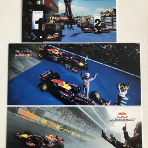 Set of 3 Red Bull Racing Driver Cards / Post Cards from the Sports Car Racing Birthday Cards store collection.