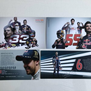 Set of 4 Red Bull Racing / Toro Rosso Driver Cards / Post Cards from the Sports Car Racing Birthday Cards store collection.