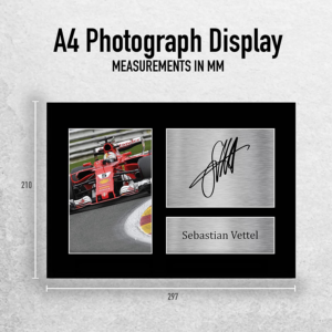 Sebastian Vettel Gift Signed A4 Printed Autograph F1 Formula One Gifts Photo Display from the Sports Car Racing Signed store collection.